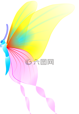 蝴蝶,動物,昆蟲