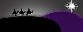 國王,一品紅,圣誕節(jié)