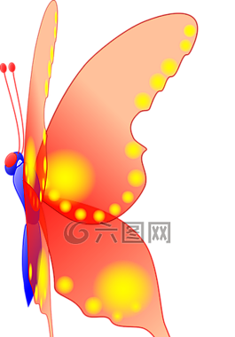蝴蝶,動(dòng)物,昆蟲(chóng)