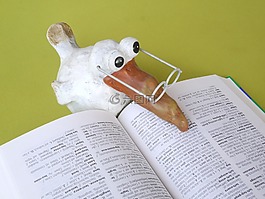 學(xué)校,本書,知道
