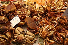螃蟹,海鮮,食品
