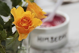 玫瑰,黃色,花