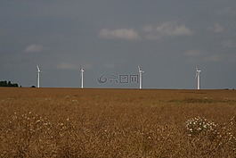 字段,麥田,風(fēng)車