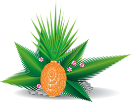 異國情調,棕櫚葉,植物