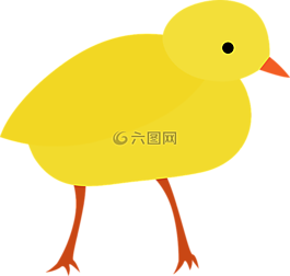 小雞,雞,復活節(jié)
