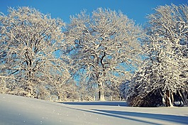冬天,寒冬,雪