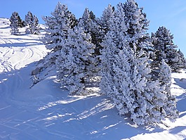 維拉爾德朗,法國,雪