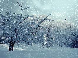 冬天,寒冬,雪