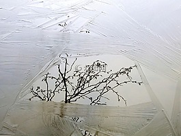 湖,冰,冷凍