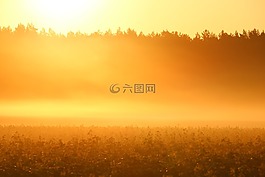 太陽(yáng),霧,日出