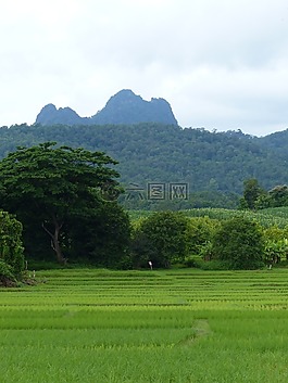 doi濤,山,南邦