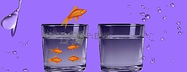 魚,水,滴