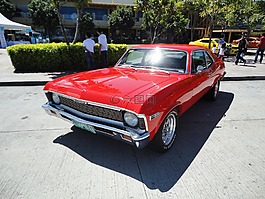 煩擾,經(jīng)典汽車,釀酒