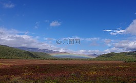 秋季,彩虹,苔原