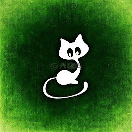 貓,mieze,寵物