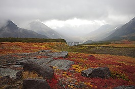 山区的苔原,山,范围