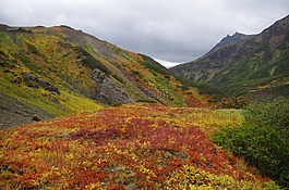 山区的苔原,山,范围