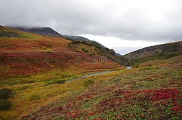 山区的苔原,山,范围