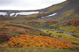 山区的苔原,山,范围