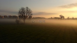 樹,建筑物,霧