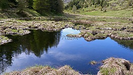 景觀,性質(zhì),池塘