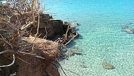 海,撒丁島,夏季