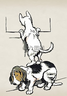 貓,狗,朋友