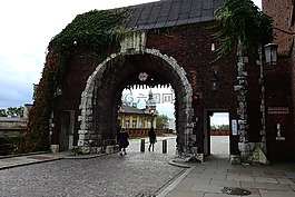 克拉科夫,瓦維爾,體系結(jié)構(gòu)