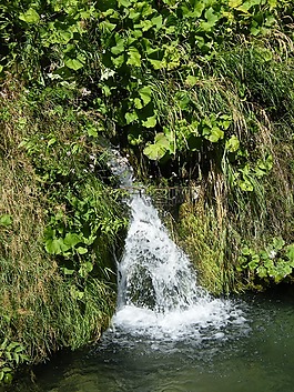 wasseerfall,弗里施,源
