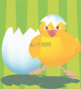 雞,雞蛋,新生