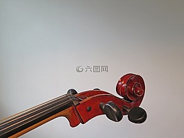 大提琴,字符串,儀器