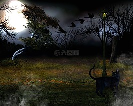 魔術(shù),幻想,夜