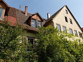 首頁(yè),建設(shè),屋頂