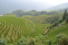 中國,稻田,梯田