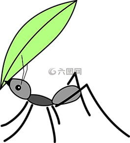 螞蟻,昆蟲,甲蟲，昆蟲