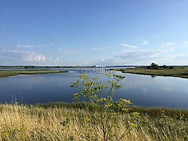 wismar,船廠,船村