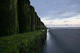海,上午,日出