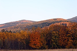 秋,山,顏色