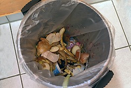 垃圾桶,家居廢物,廢棄物