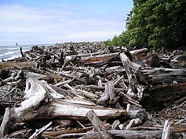 僵局,河,水