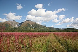 山,火山,苔原