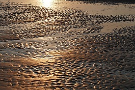 美国瓦茨,priel,海