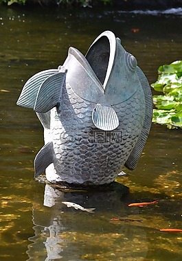 魚,池塘,小區(qū)