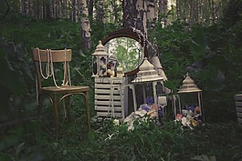 花園,手電筒,鏡