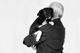 寵物,動物,狗