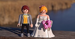 婚禮,新娘,馬夫