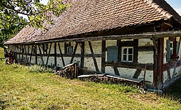 博物館,露天博物館,瑞士法郎