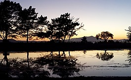 里士滿,ca,晚上