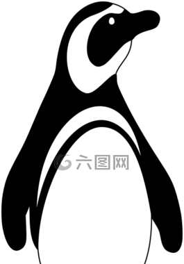 企鵝,動物,可愛
