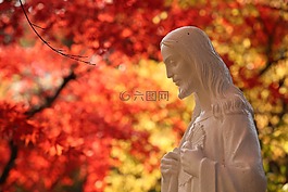 秋季,大自然,葉